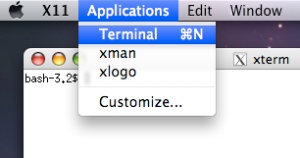 X11_terminal