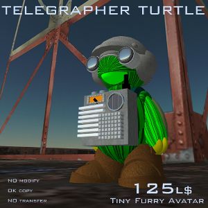 telegrapher_turtle